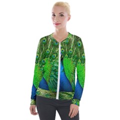 Peacock Peafowl Pattern Plumage Velour Zip Up Jacket by Pakrebo