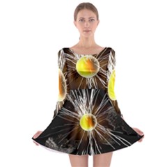 Abstract Exploding Design Long Sleeve Skater Dress