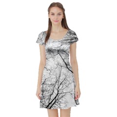 Forest Trees Silhouette Tree Short Sleeve Skater Dress