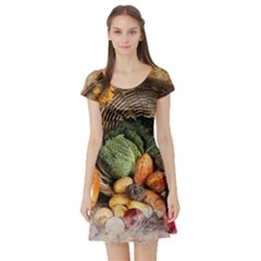 Pumpkin Vegetables Autumn Short Sleeve Skater Dress