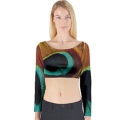 Feather Peacock Feather Peacock Long Sleeve Crop Top by Nexatart