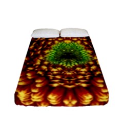 Flower Dahlia Red Petals Color Fitted Sheet (full/ Double Size) by Nexatart