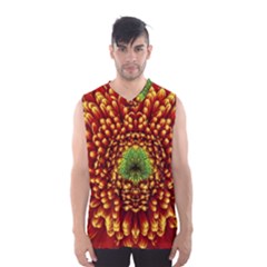 Flower Dahlia Red Petals Color Men s Sportswear by Nexatart