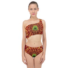 Flower Dahlia Red Petals Color Spliced Up Two Piece Swimsuit by Nexatart