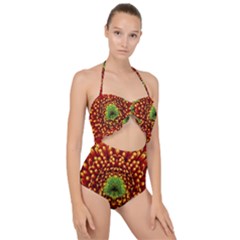 Flower Dahlia Red Petals Color Scallop Top Cut Out Swimsuit