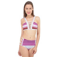 Lesbian Pride Flag Cage Up Bikini Set