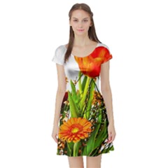 Tulip Gerbera Composites Broom Short Sleeve Skater Dress