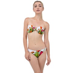 Tulip Gerbera Composites Broom Classic Bandeau Bikini Set by Pakrebo