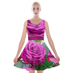 Rose Pink Purple Flower Bouquet Velvet Skater Dress by Pakrebo