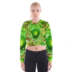 Ranunculus Blossom Bloom Nature Cropped Sweatshirt by Pakrebo