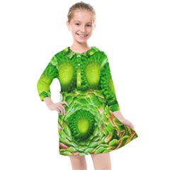 Ranunculus Blossom Bloom Nature Kids  Quarter Sleeve Shirt Dress by Pakrebo