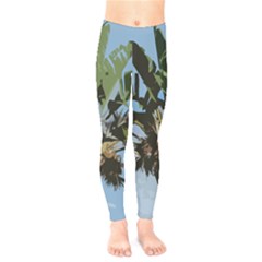 Palm Tree Kids  Legging by snowwhitegirl