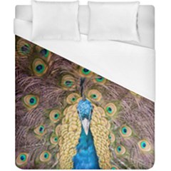 Bird Peacock Feather Duvet Cover (california King Size)