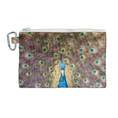Bird Peacock Feather Canvas Cosmetic Bag (large) by HermanTelo