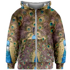 Bird Peacock Feather Kids  Zipper Hoodie Without Drawstring