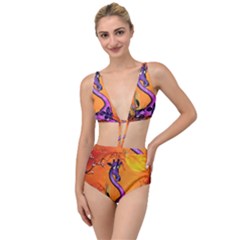 Funny Giraffe In The Night Tied Up Two Piece Swimsuit by FantasyWorld7