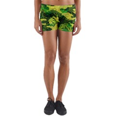 Marijuana Camouflage Cannabis Drug Yoga Shorts by HermanTelo