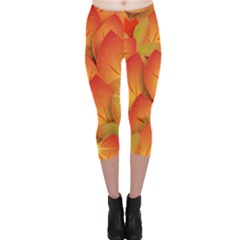 Pattern Texture Leaf Capri Leggings 