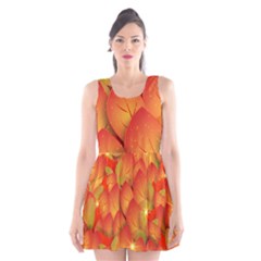 Pattern Texture Leaf Scoop Neck Skater Dress