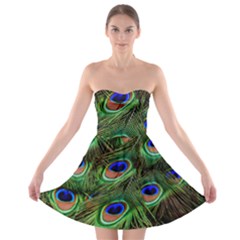Peacock Feathers Plumage Iridescent Strapless Bra Top Dress