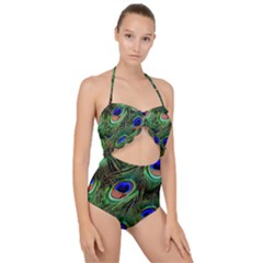Peacock Feathers Plumage Iridescent Scallop Top Cut Out Swimsuit