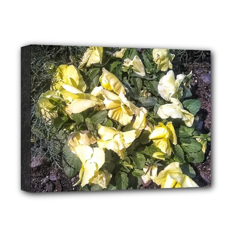 April Pansies Deluxe Canvas 16  X 12  (stretched) 