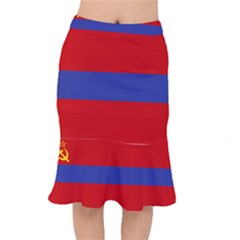 Flag Of Armenian Socialist Republic, 1952-1990 Mermaid Skirt by abbeyz71