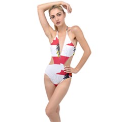 Flag Map Of Austria  Plunging Cut Out Swimsuit by abbeyz71