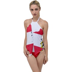 Flag Map Of Austria  Go With The Flow One Piece Swimsuit by abbeyz71