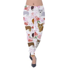 Corgis Corgi Pattern Velvet Leggings by Sapixe