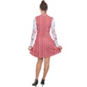 Diamond Red Red White Stripe Skinny Long Sleeve Panel Dress View2