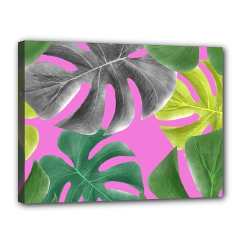 Tropical Greens Pink Leaf Canvas 16  X 12  (stretched) by HermanTelo