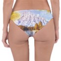 Painting Paint Landscape Nature Reversible Hipster Bikini Bottoms View4