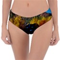 Outdoor Landscape Scenic View Reversible Classic Bikini Bottoms View1