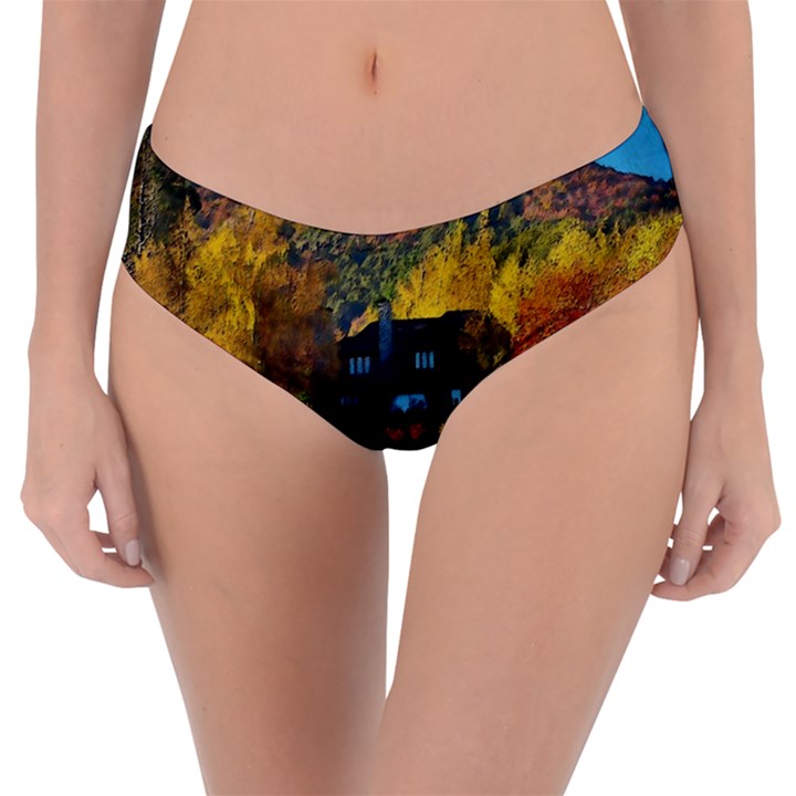 Outdoor Landscape Scenic View Reversible Classic Bikini Bottoms