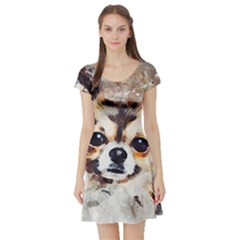 Chihuahua Dog Cute Pets Small Short Sleeve Skater Dress