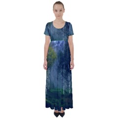 Birch Forest Nature Landscape High Waist Short Sleeve Maxi Dress by Pakrebo