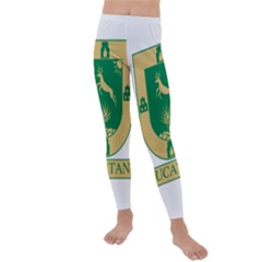 Flag Of State Of Yucatán Kids  Lightweight Velour Leggings by abbeyz71