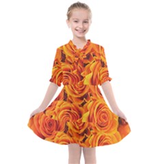 Flower Love Kids  All Frills Chiffon Dress by BIBILOVER