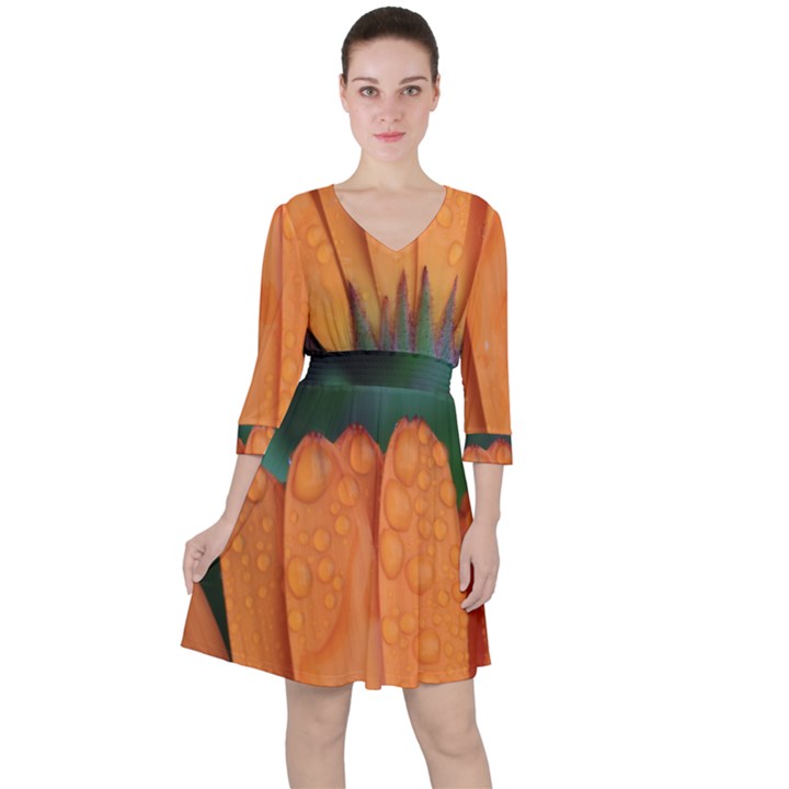 Orange Petals Quarter Sleeve Ruffle Waist Dress