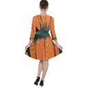 Orange Petals Quarter Sleeve Ruffle Waist Dress View2