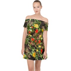 Tulips In April Off Shoulder Chiffon Dress by Riverwoman