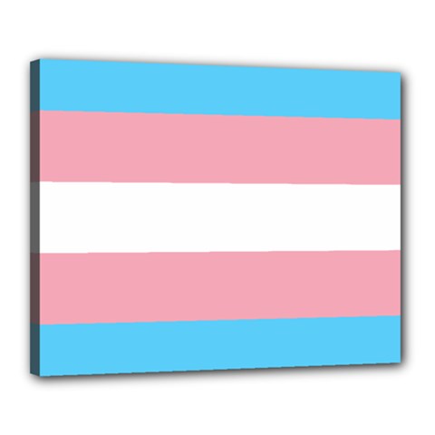 Transgender Pride Flag Canvas 20  X 16  (stretched)