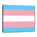 Transgender Pride Flag Canvas 20  x 16  (Stretched) View1