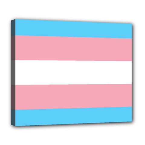 Transgender Pride Flag Deluxe Canvas 24  X 20  (stretched)