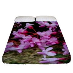 Redbud In April Fitted Sheet (king Size) by Riverwoman