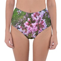 Redbud In April Reversible High-waist Bikini Bottoms by Riverwoman