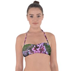 Redbud In April Halter Bandeau Bikini Top by Riverwoman