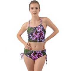 Redbud In April Mini Tank Bikini Set by Riverwoman