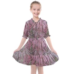 Fineleaf Japanese Maple In April Kids  All Frills Chiffon Dress